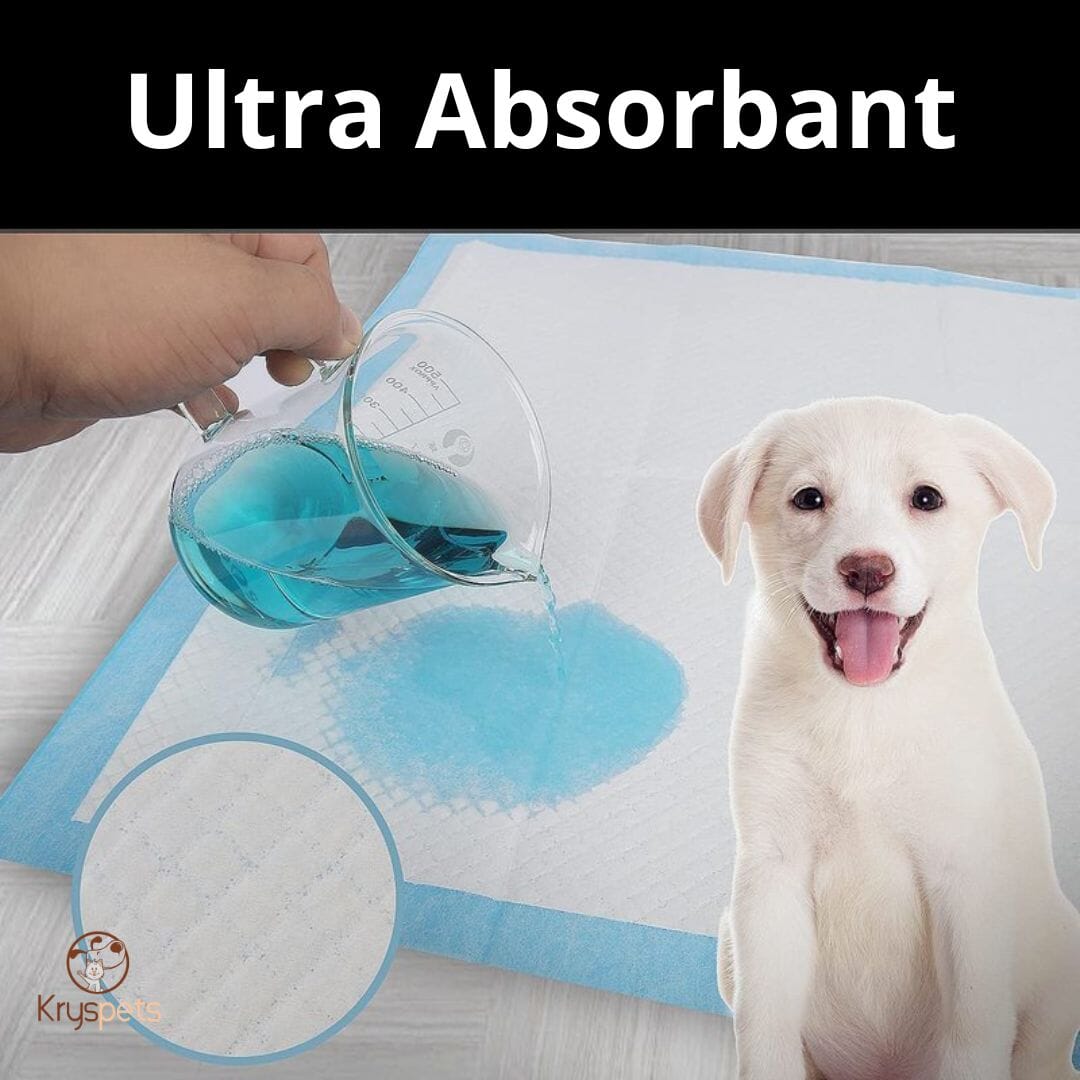 alèse chien ultra absorbante