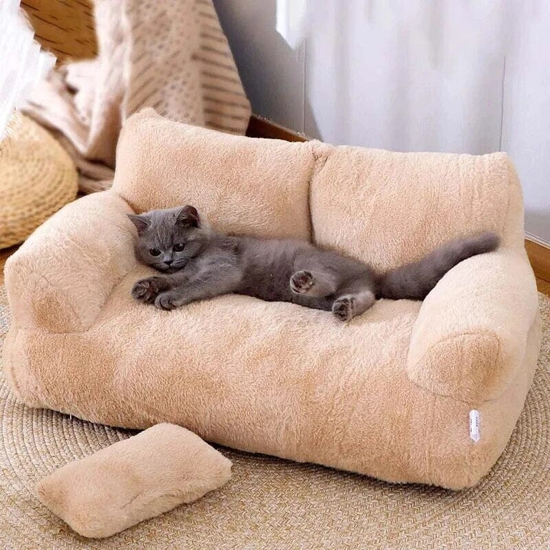 canapé pour chat