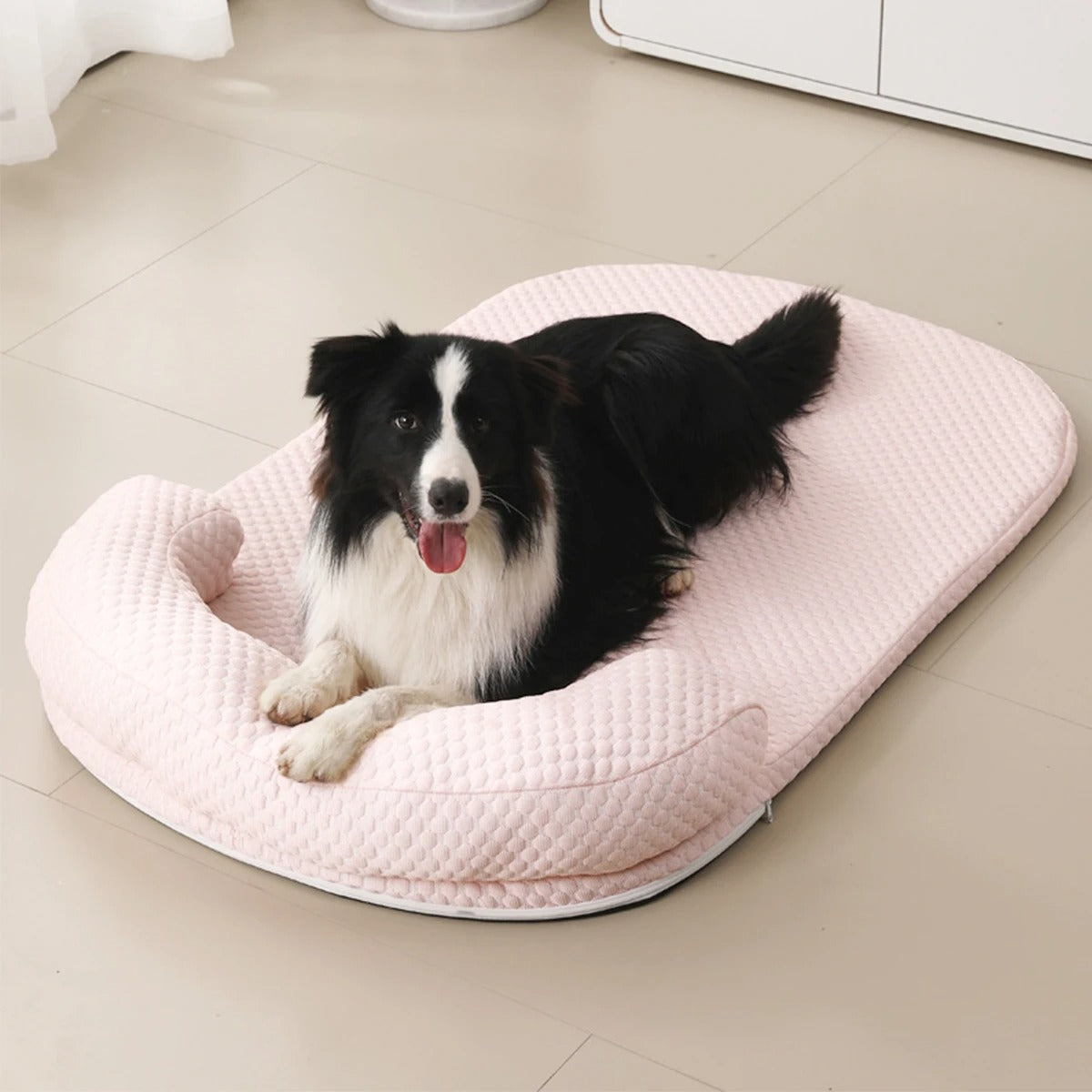 Tapis rafraichissant chien - DogFRAIS™
