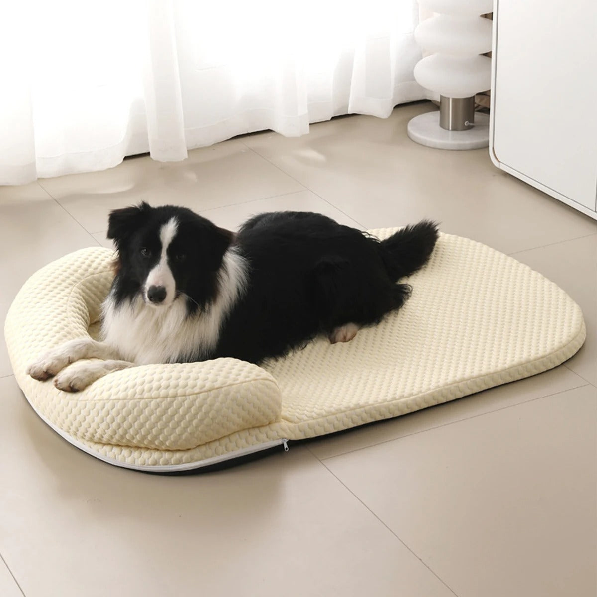 Tapis rafraichissant chien - DogFRAIS™
