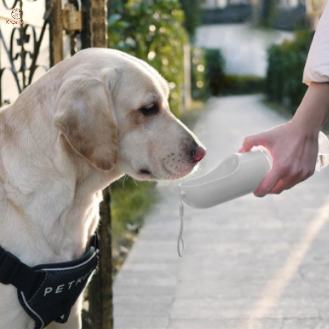 gourde pour chien blanche