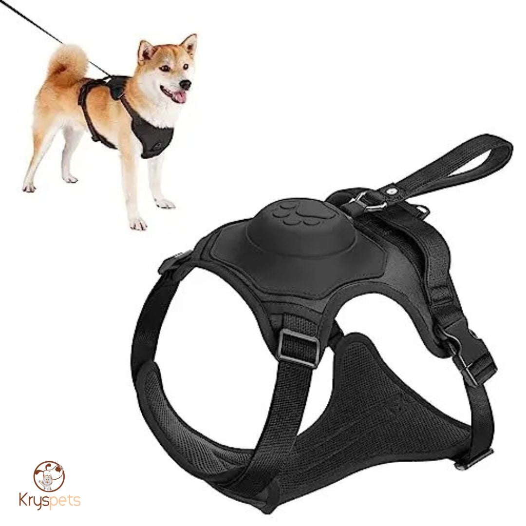 harnais chien anti traction laisse noir