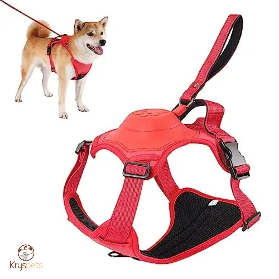 harnais chien anti traction laisse rouge