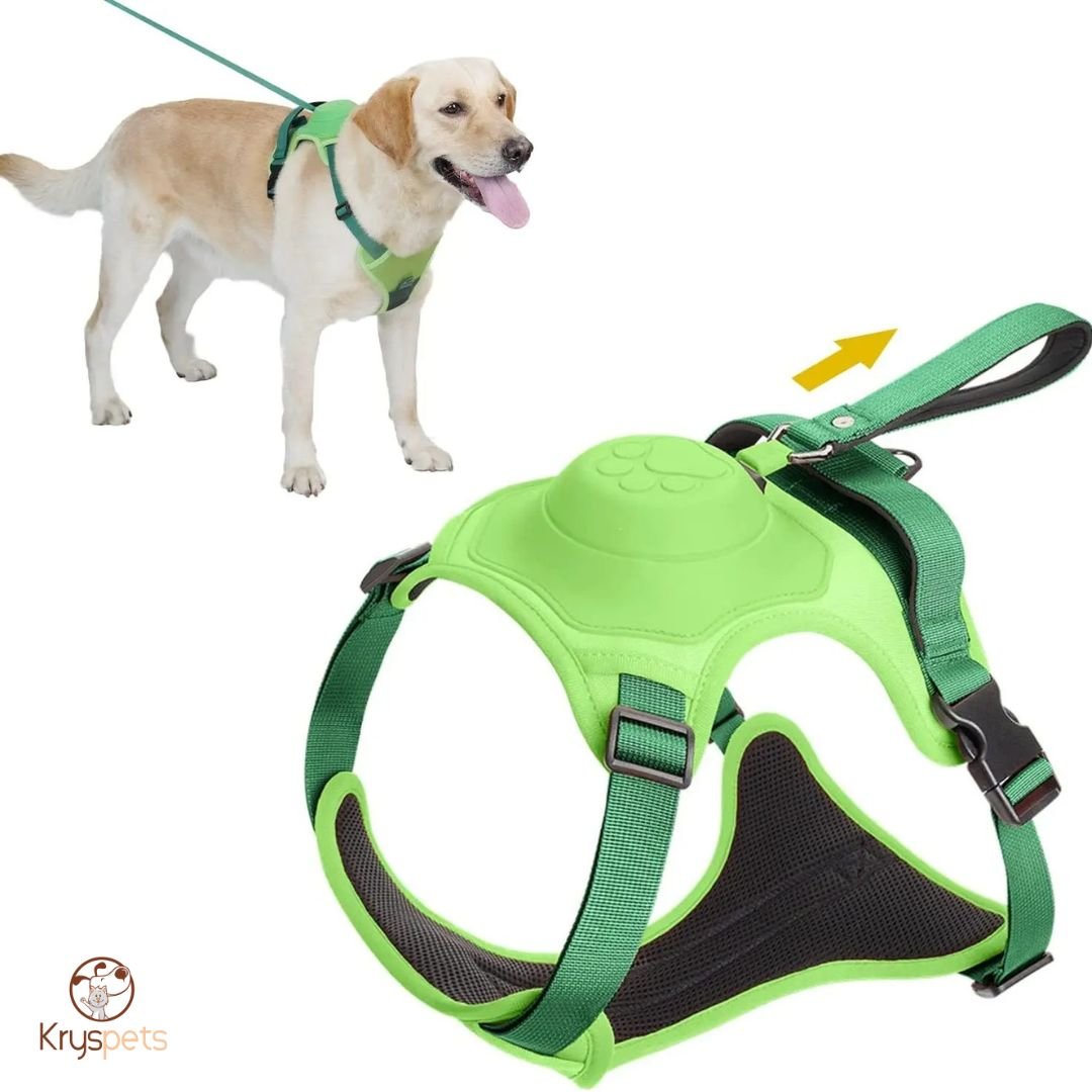 harnais chien anti traction laisse vert