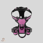 HARNAIS POUR CHIEN - HarnyDOG™