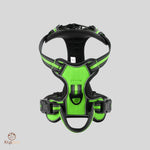 HARNAIS POUR CHIEN - HarnyDOG™