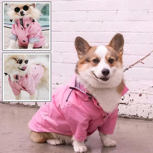 Imperméable pour chien - CoupVENT™