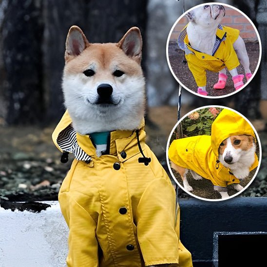 Imperméable pour chien - CoupVENT™