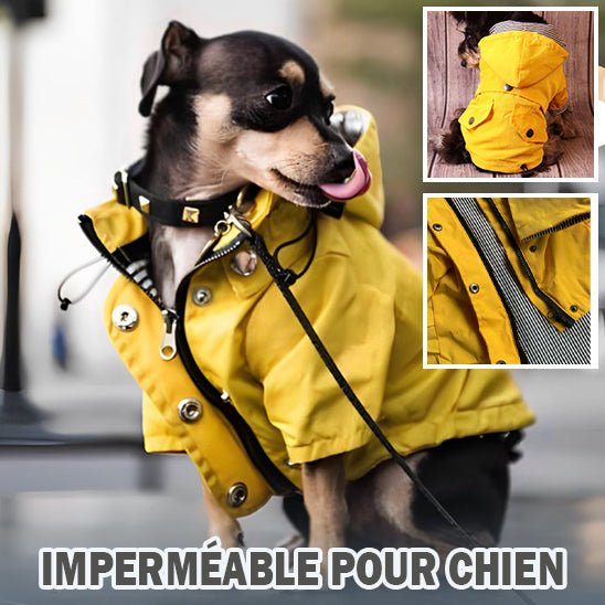 Imperméable pour chien - CoupVENT™