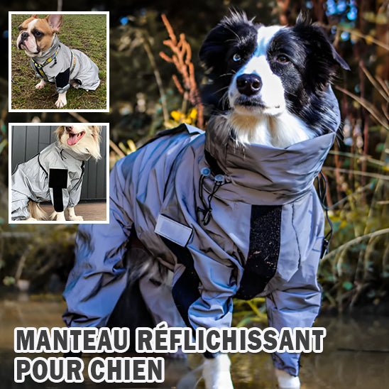 Imperméable pour chien