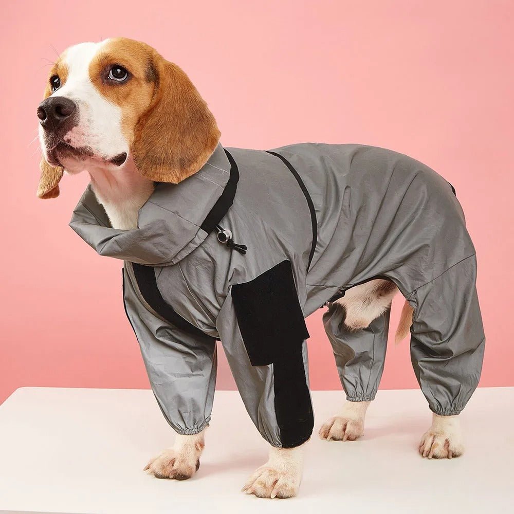 Imperméable pour chien