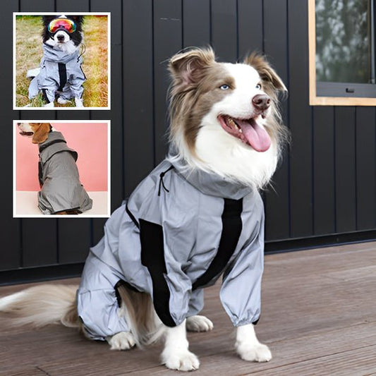 Imperméable pour chien