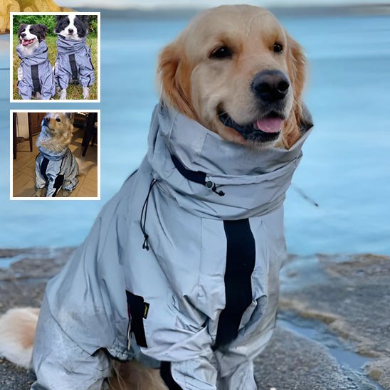 Imperméable pour chien