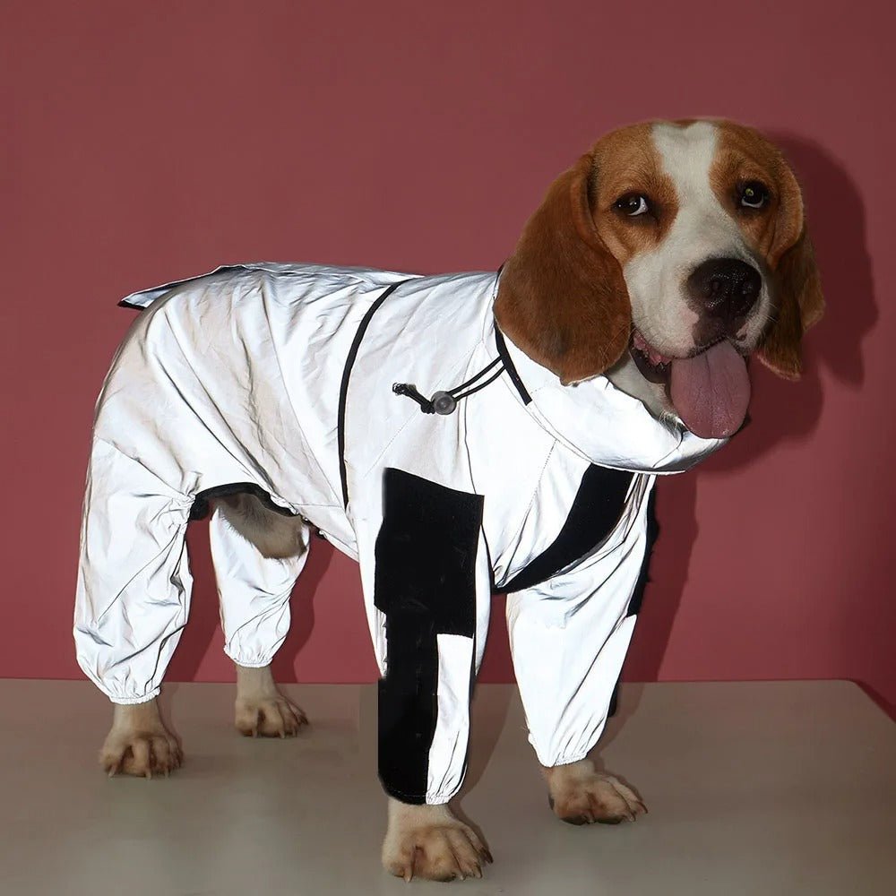 Imperméable pour chien