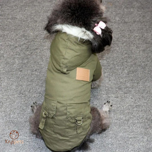 manteau chien
