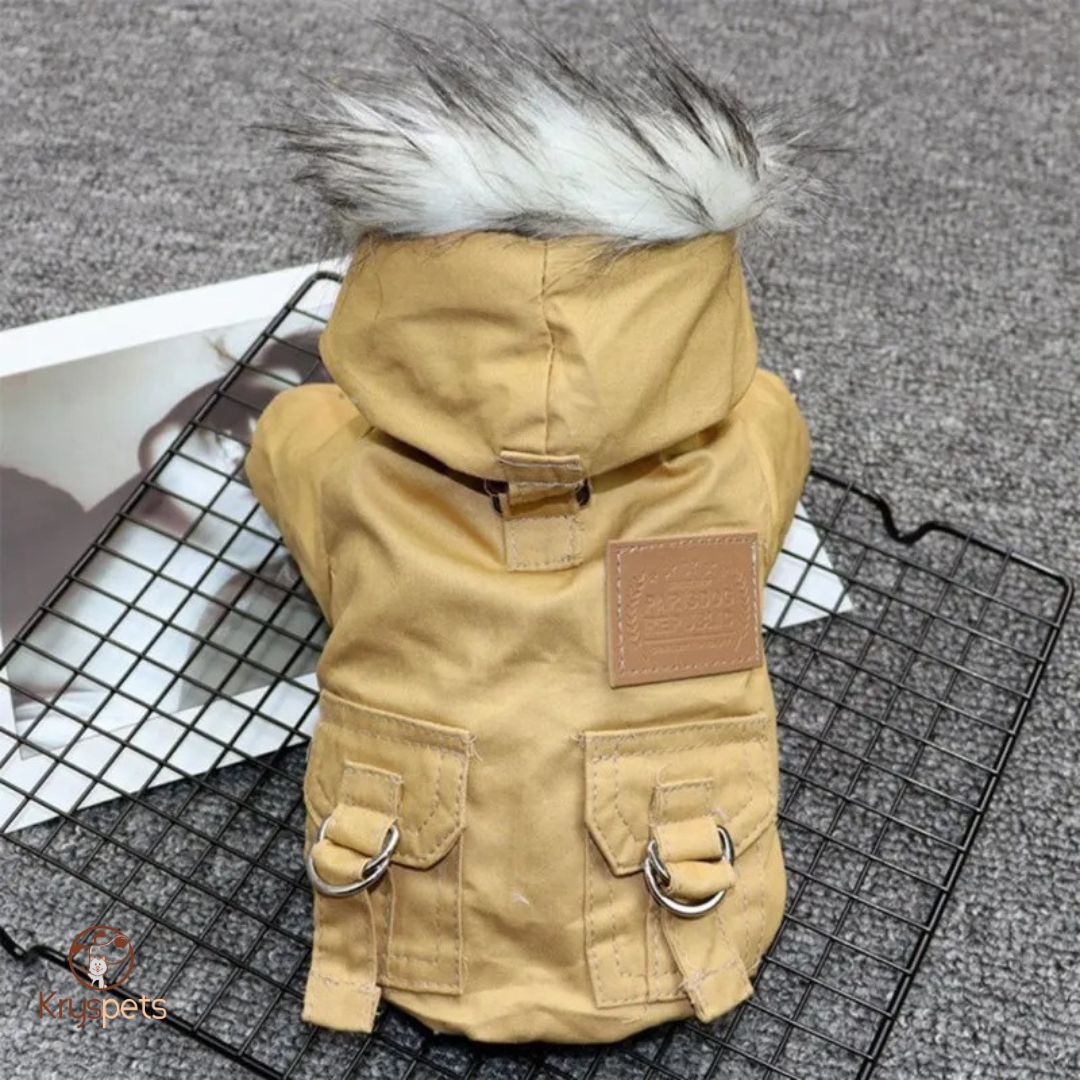 manteau pour chien