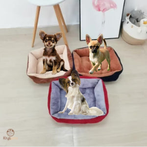 Lit pour chien Chat - Kryspet's