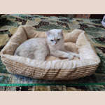 Lit pour chien Chat - Kryspet's