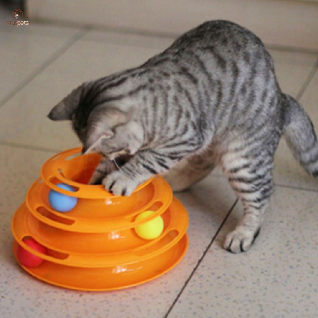 Jouet pour chat - TOUR SPIRALE™ - Kryspet's