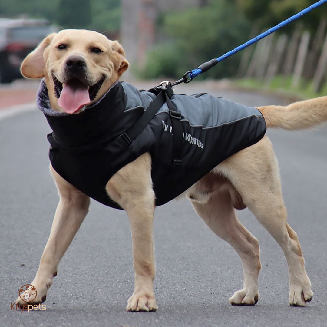 Manteau pour grand chien - PETSYBIG™ - Kryspet's