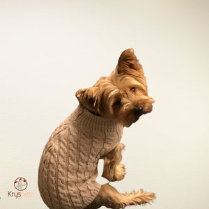 Pulls pour chien - DoggyPULL™ - Kryspet's