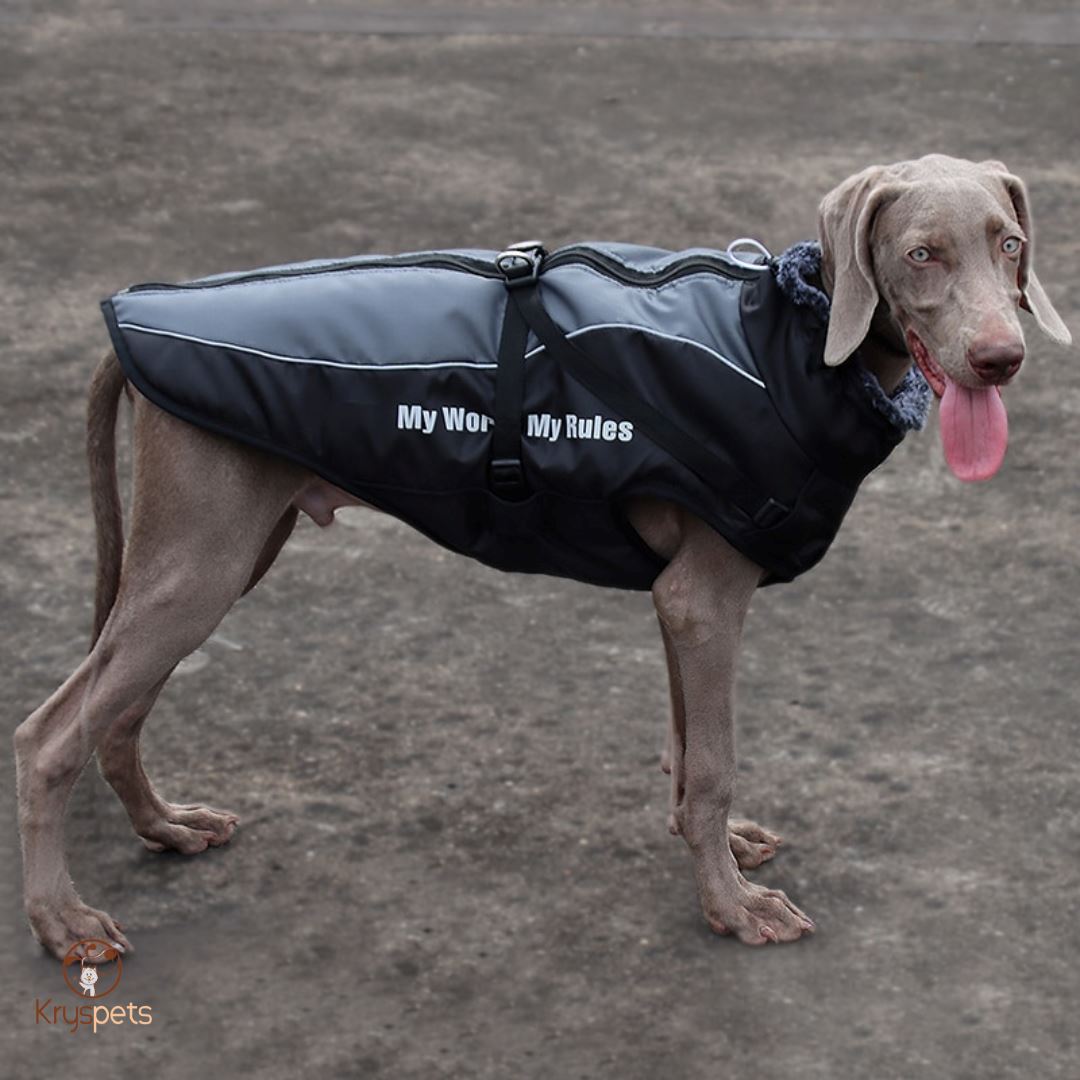 Manteau pour grand chien - PETSYBIG™ - Kryspet's