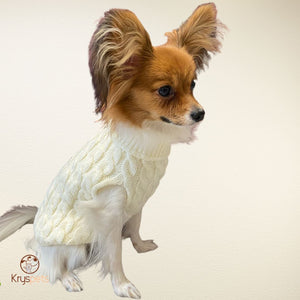 Pulls pour chien - DoggyPULL™ - Kryspet's
