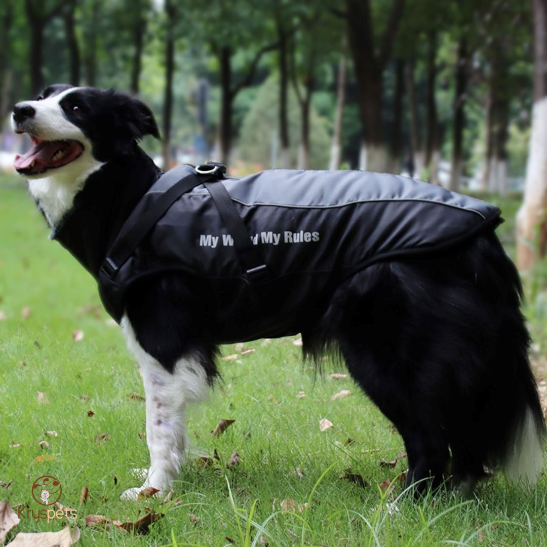 Manteau pour grand chien - PETSYBIG™ - Kryspet's