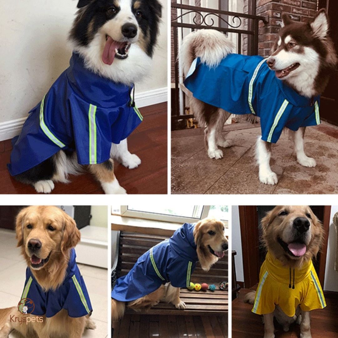 Imperméable pour chien - Kryspet's