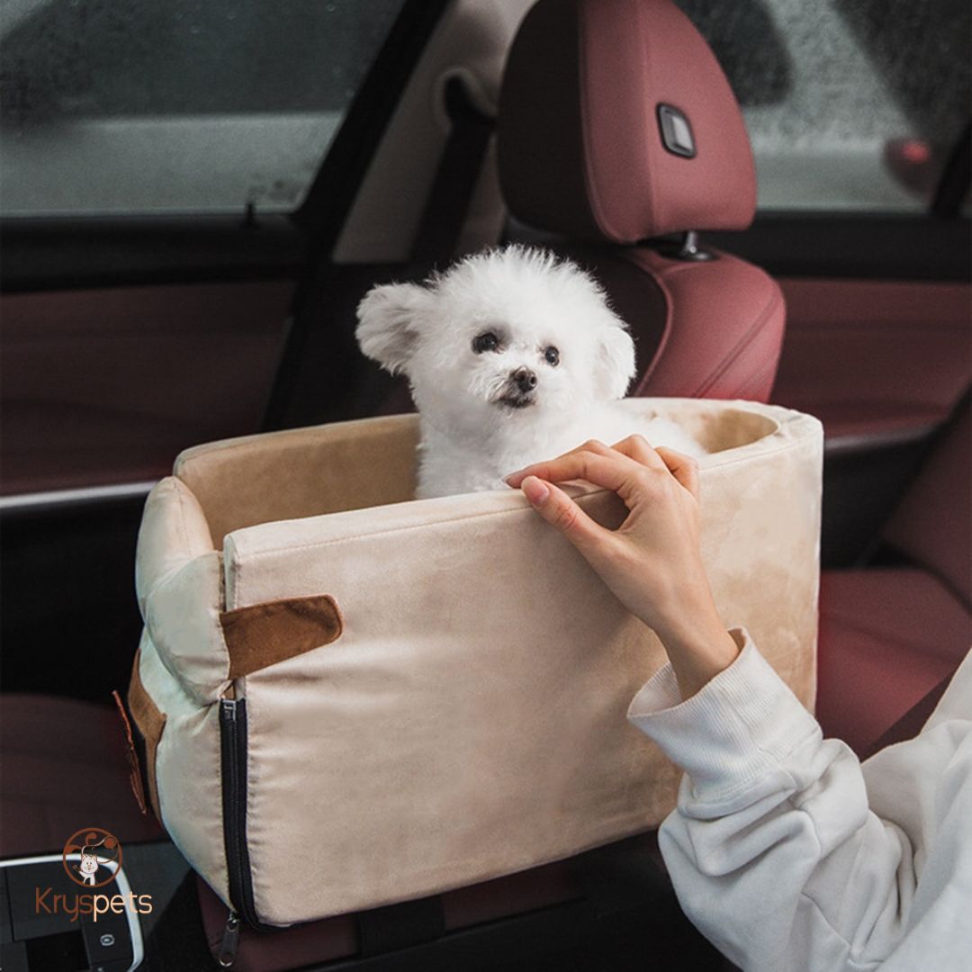 Panier pour chien de voiture - Siège auto pour animal de compagnie
