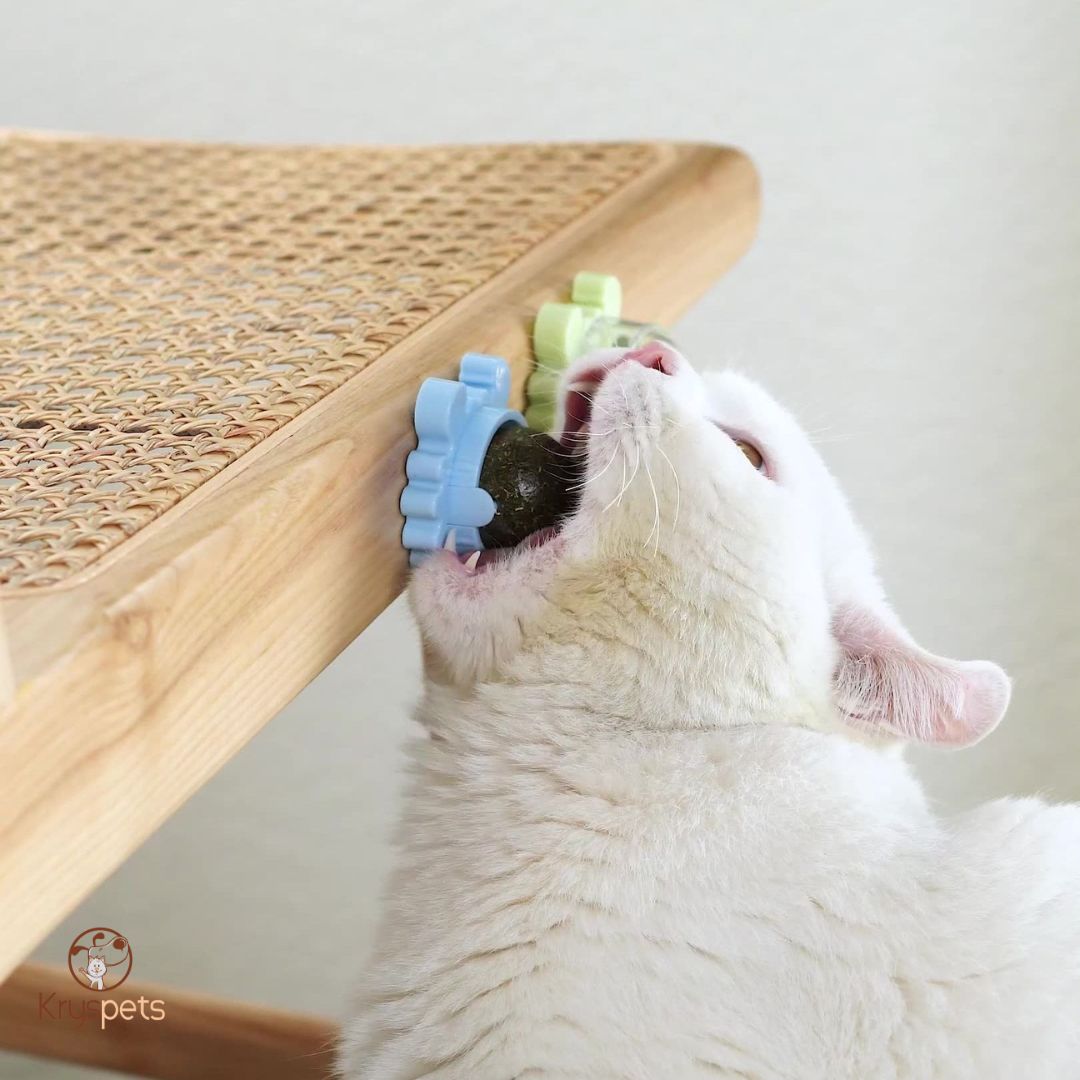 Boule herbe à chat mural - HERBACHAT™ - Kryspet's