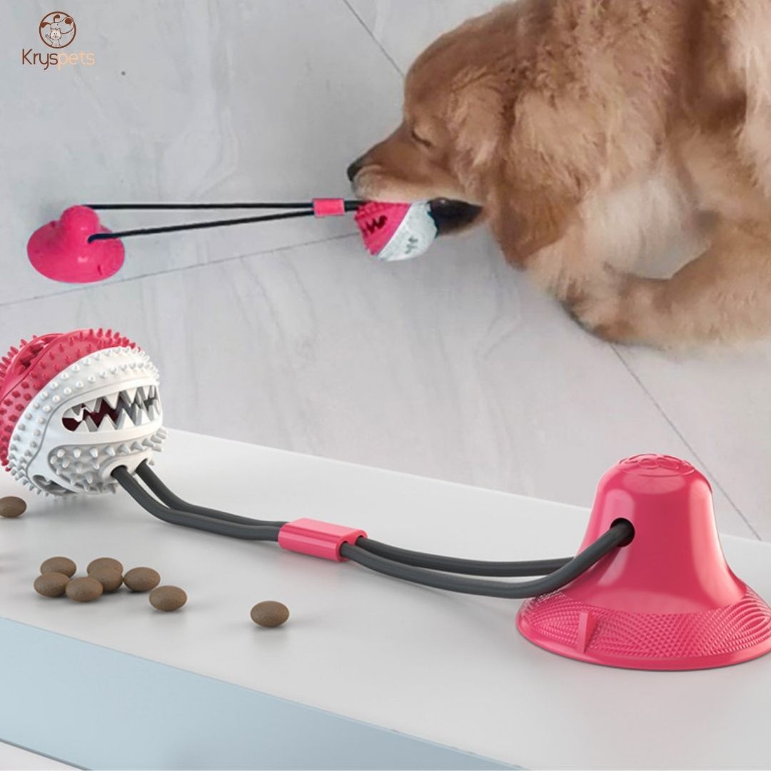 Jouet Ventouse Multifonctions pour chien - LACHE RIEN™ - Kryspet's