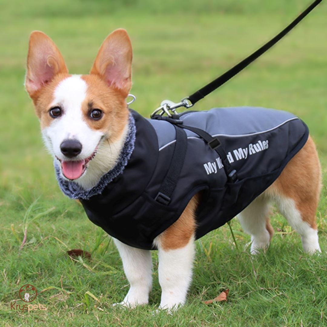 Manteau pour grand chien - PETSYBIG™ - Kryspet's