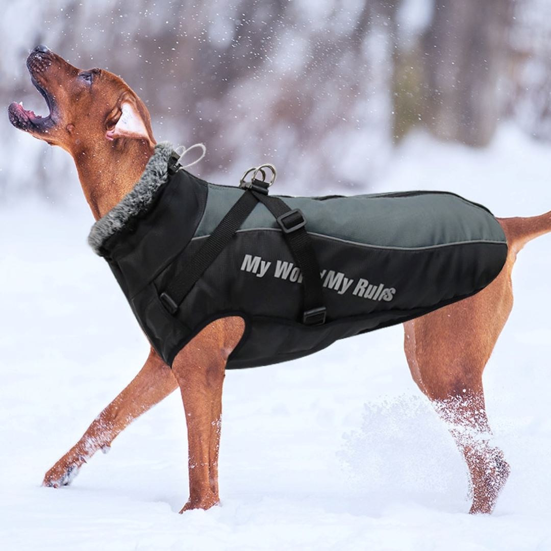 Manteau pour grand chien - PBIG™ – Kryspet's