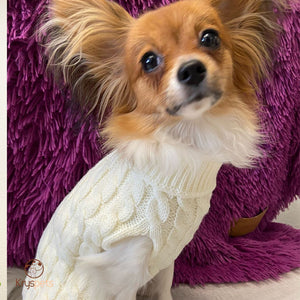 Pulls pour chien - DoggyPULL™ - Kryspet's