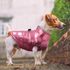 Veste chaude imperméable pour petit chien - KRYSJACKETTE™ - Kryspet's