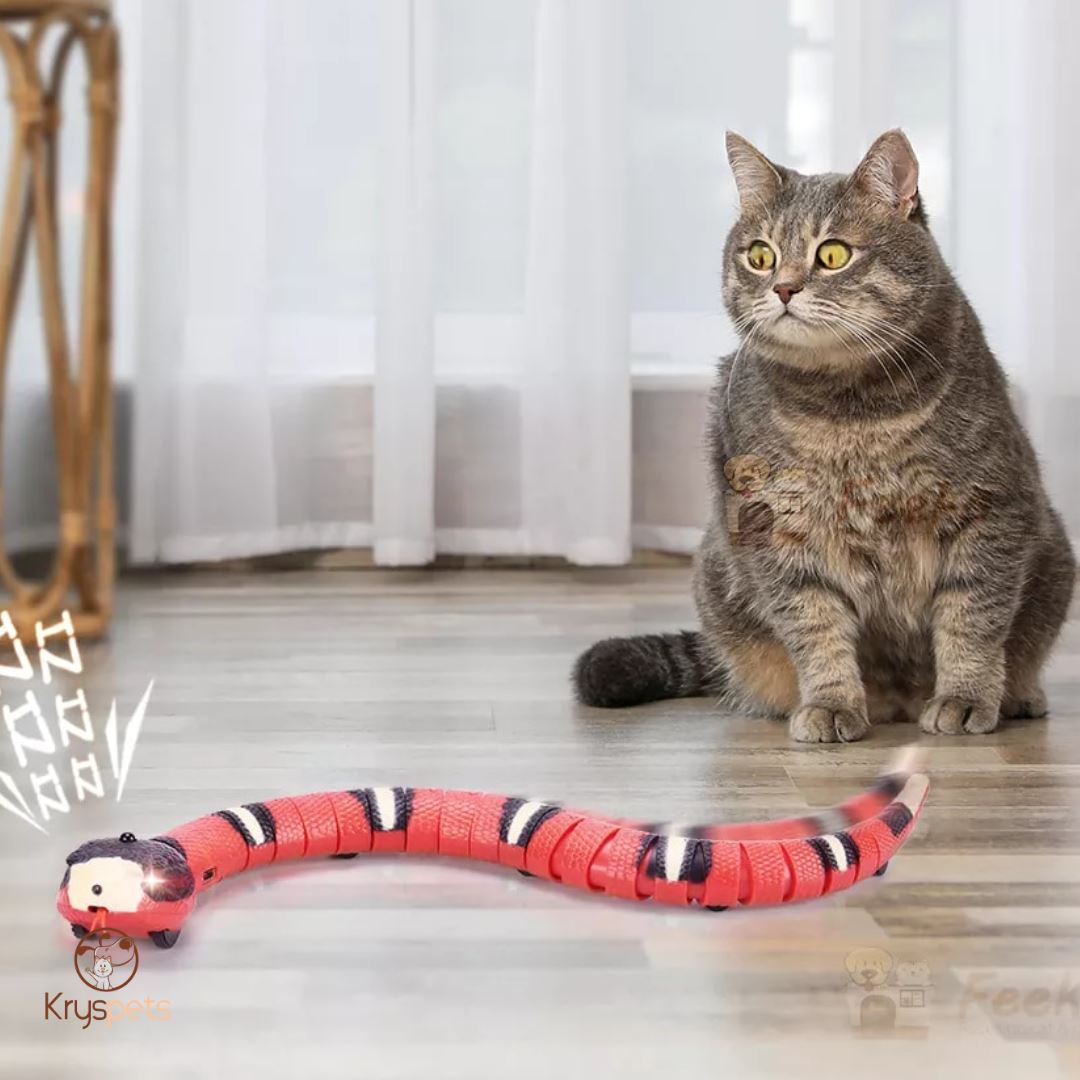 Jouet interactif pour animaux de compagnie - KRYSNAKE™ - Kryspet's