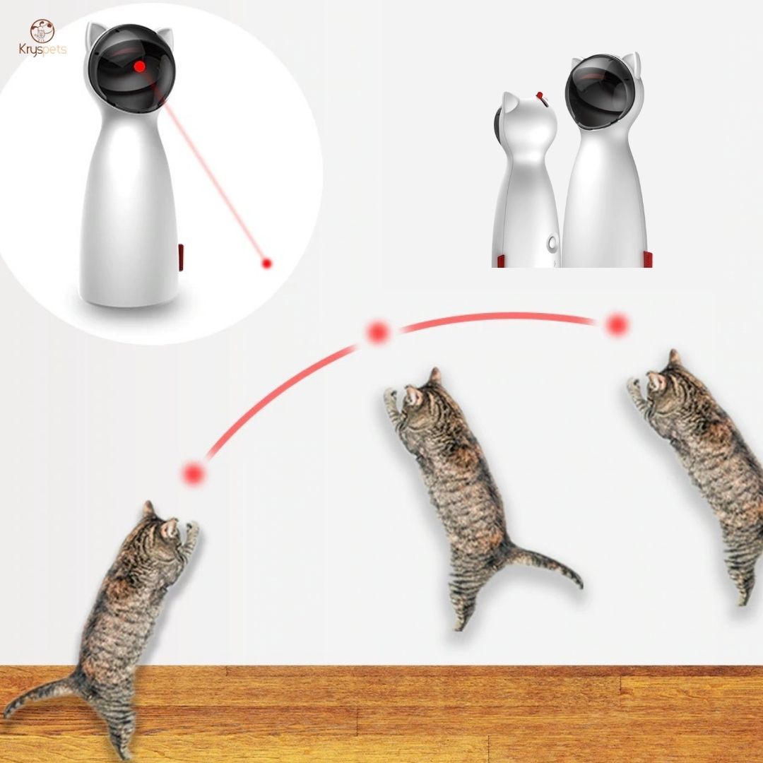 Jouet Laser chat automatique - FUN'LAZ™ - Kryspet's