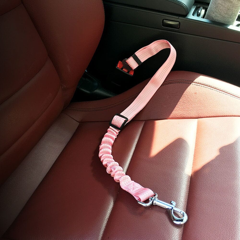Ceinture de sécurité pour chien - SAFEkrys™