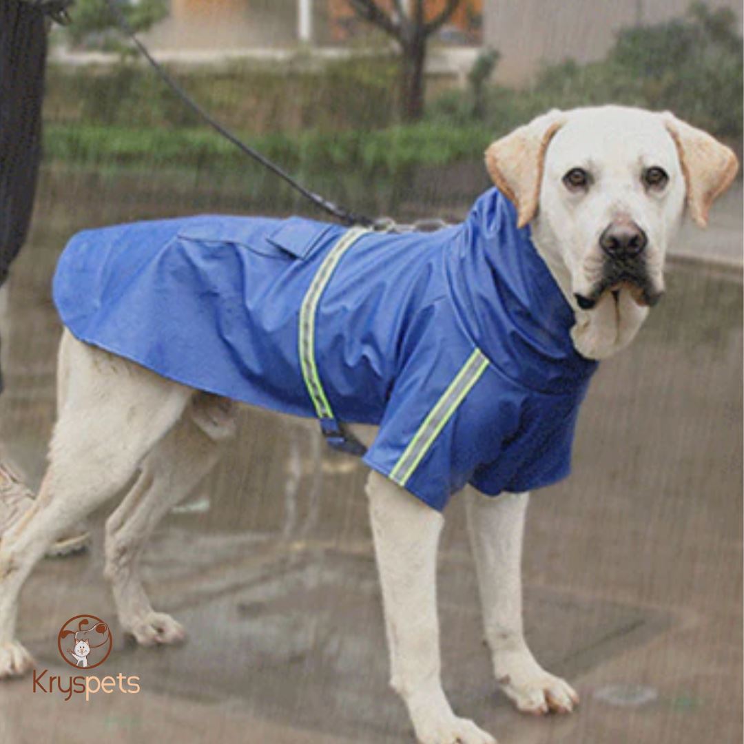 Imperméable pour chien - Kryspet's