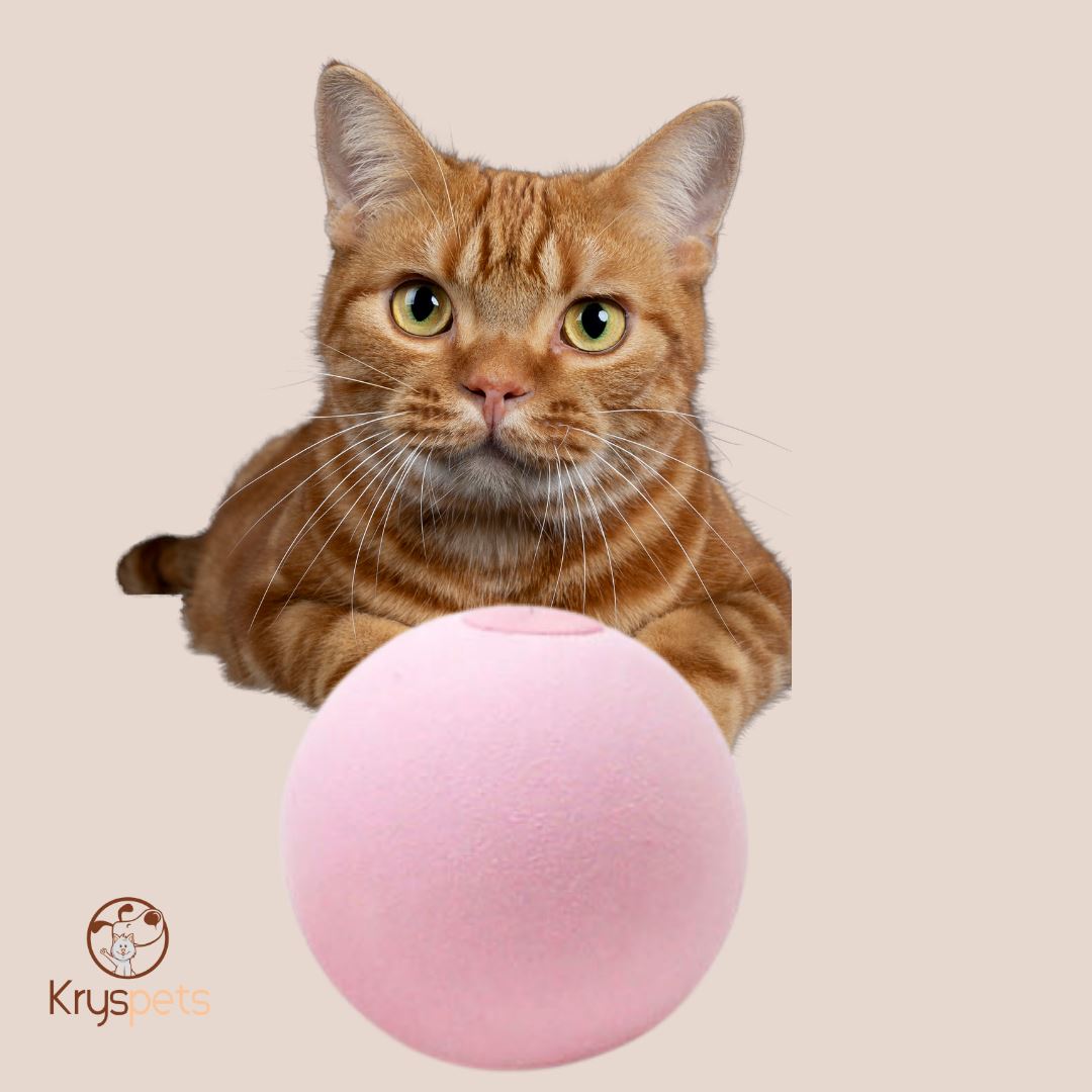 Jouet boule pour chat - Boule interactive KATBOULE™ - Kryspet's