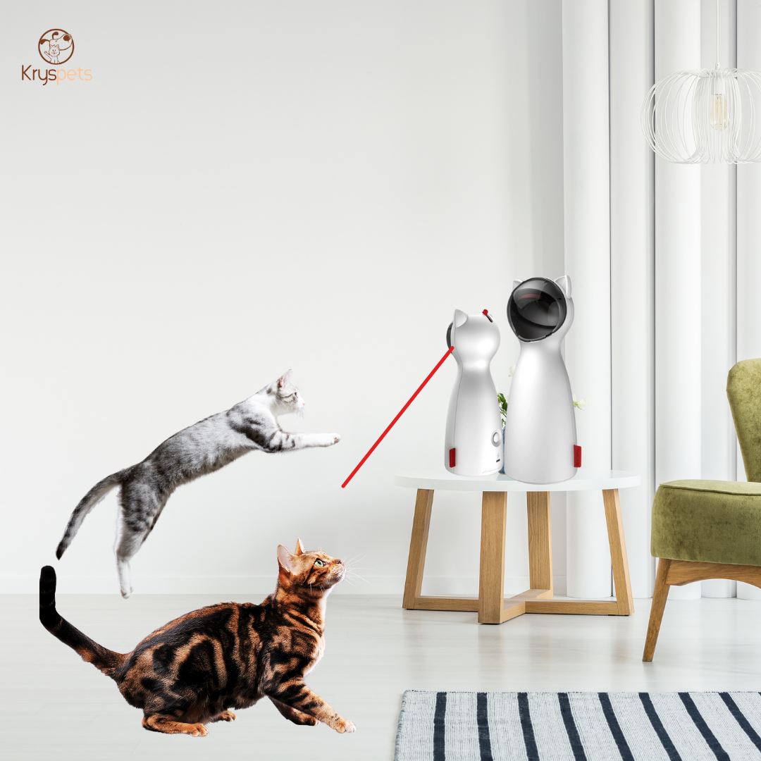 Jouet Laser chat automatique - FUN'LAZ™ - Kryspet's