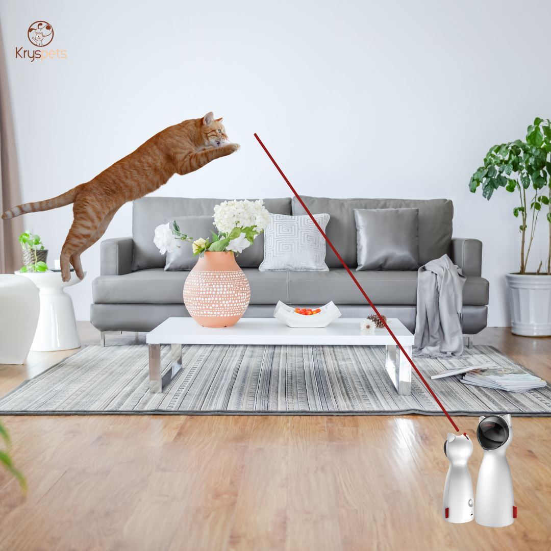 Jouet Laser chat automatique - FUN'LAZ™ - Kryspet's