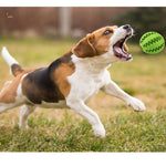 Balle de nettoyage dents pour chien - FUNNY BOULE™ - Kryspet's