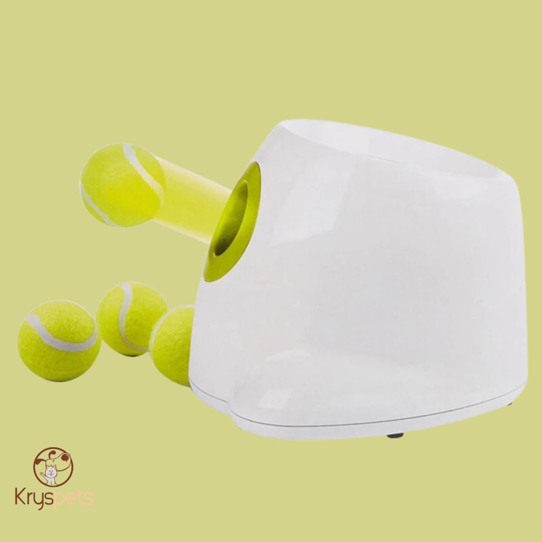 lanceur de balle pour chiens jouet animaux