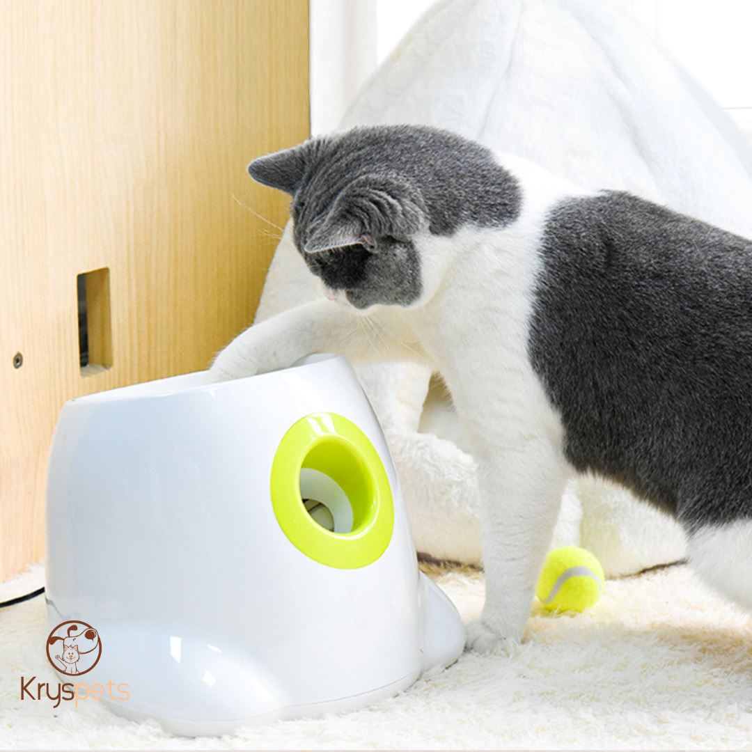 lanceur de balle pour chiens jouet interactif