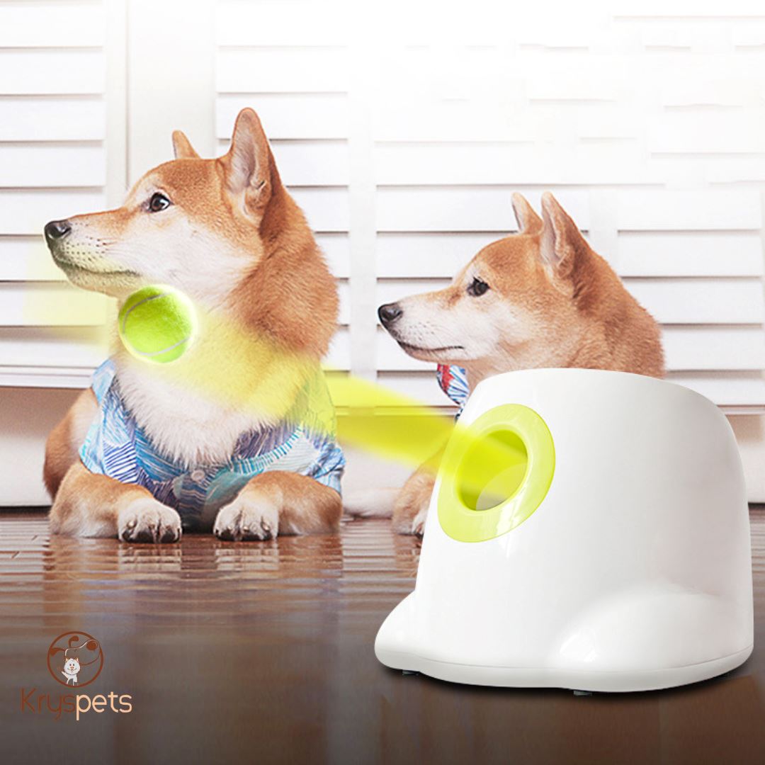lanceur de balle pour chiens tennis
