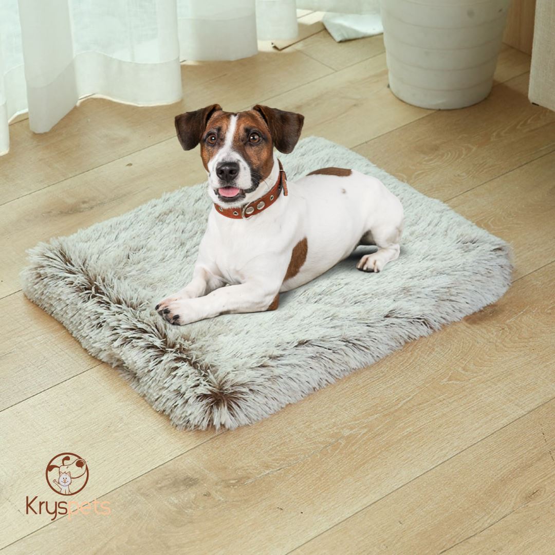 Lit pour chien marron