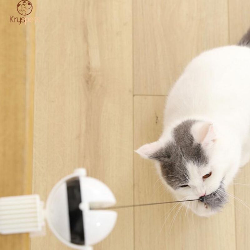 YOYO ELECTRO™ - Yoyo Electronique pour chat - Kryspet's