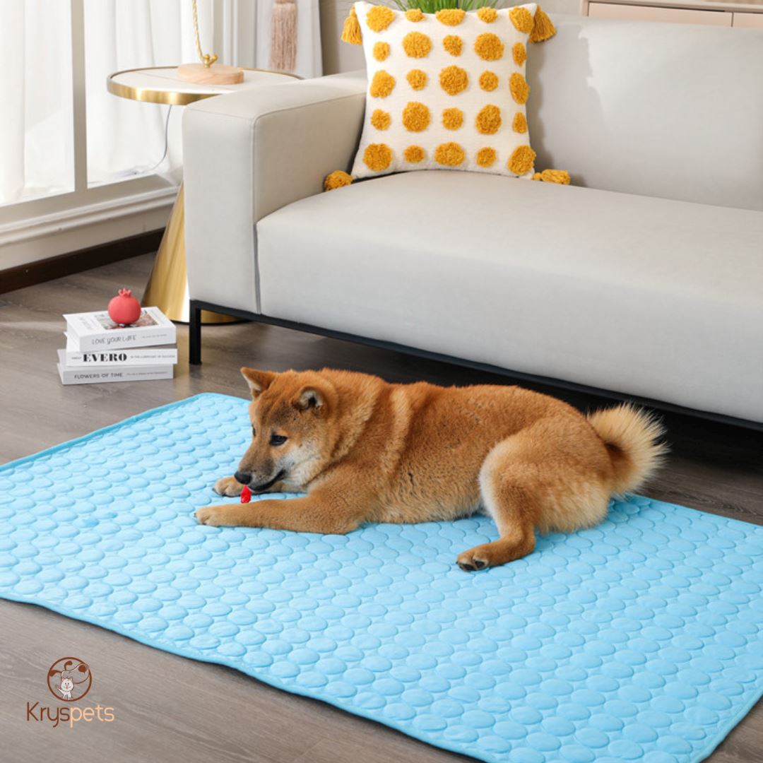 Tapis rafraichissant chien - KrysFRAIS™